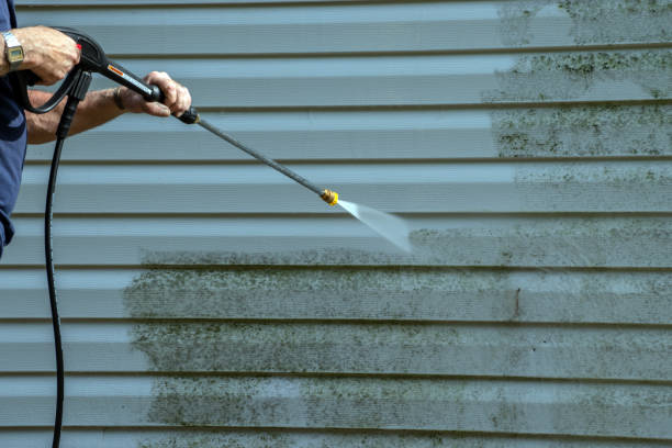Best Residential Pressure Washing Services  in Island Lake, IL