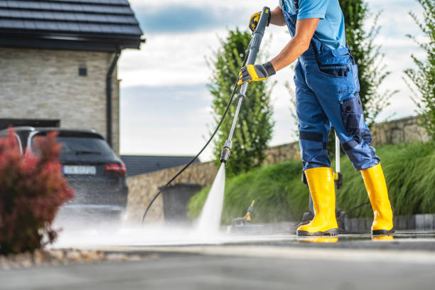 Best Affordable Pressure Washing  in Island Lake, IL