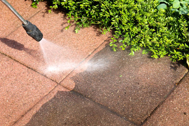 Best Concrete Pressure Washing  in Island Lake, IL